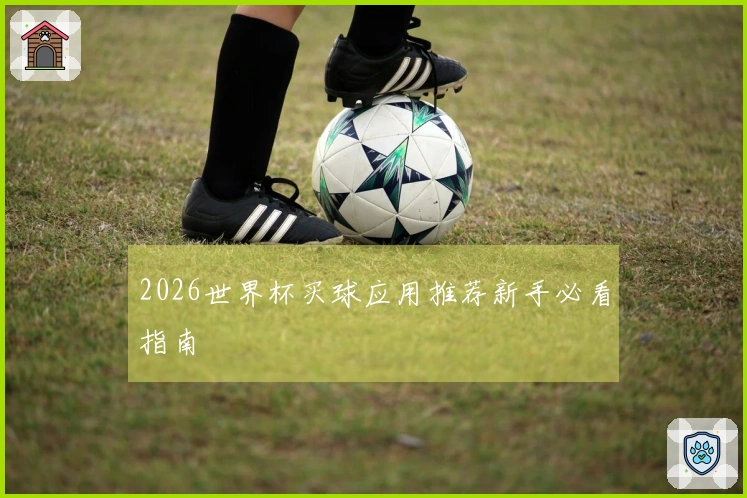 2026世界杯买球应用推荐新手必看指南