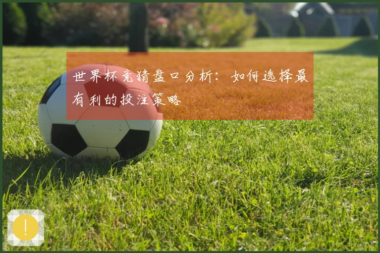 世界杯竞猜盘口分析：如何选择最有利的投注策略