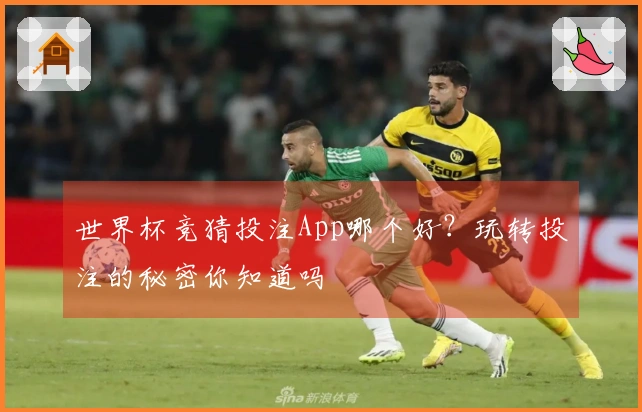 世界杯竞猜投注App哪个好？玩转投注的秘密你知道吗