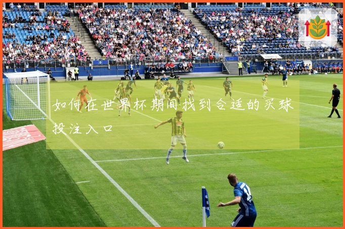 如何在世界杯期间找到合适的买球投注入口