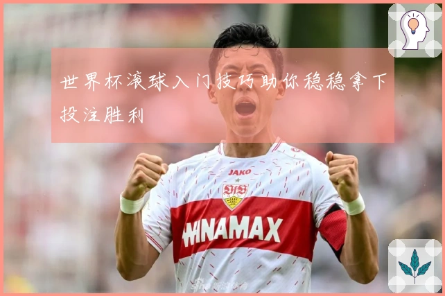 世界杯滚球入门技巧助你稳稳拿下投注胜利